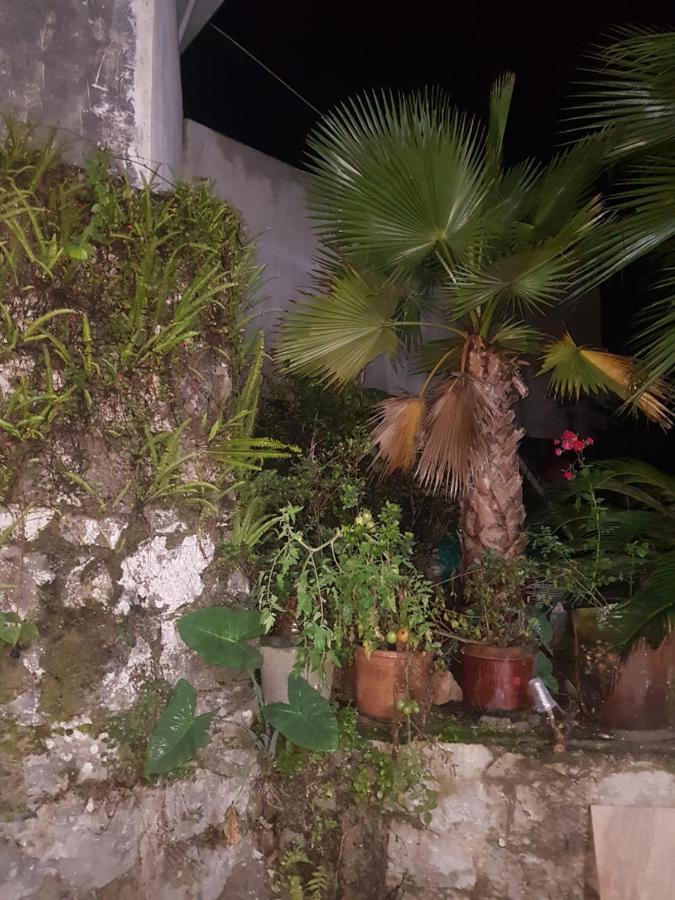 Posada Don Felipe Cuetzalán del Progreso Exteriér fotografie